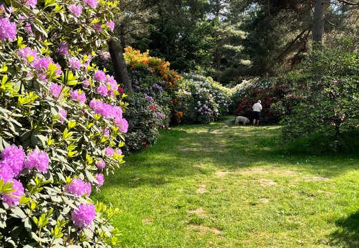 23-06-03 16-38-35 5788